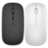 SOURIS SANS FIL 2.4 GHZ - 12 Mois de Garantie